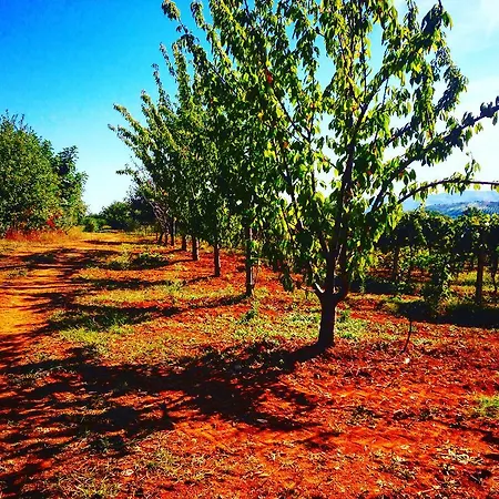 La Quercia Del Barone Altomonte