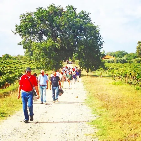 La Quercia Del Barone * Altomonte
