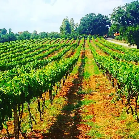 Farm stay La Quercia Del Barone *